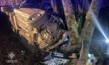 На Дніпропетровщині Chevrolet злетів в кювет та врізався в дерево: є загиблий та постраждалий