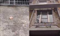 В центре Днепра на головы горожан падают кирпичи со старинного дома