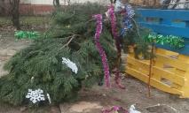 В Днепре неизвестные пытались украсть елку, которую горожане установили во дворе своего дома