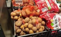 В Україні вартість картоплі вже вдвічі вища, ніж торік: які ціни на базовий овоч у Дніпрі