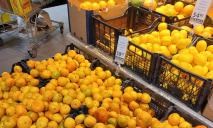 Магазини Дніпра перед Різдвом стрімко переписали ціни на цитрусові: де найдешевші мандарини