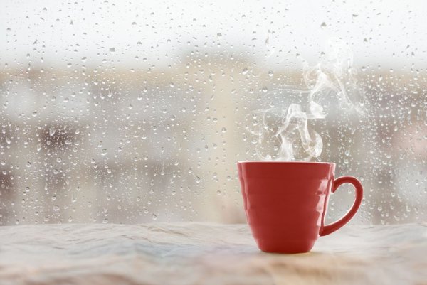Новости Днепра про Погода на 18 січня: у Дніпрі хмарно, можливий невеликий дощ