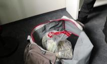Несколько мешков набитых тысячами долларов, изъятых в банды из Днепра, отдали в госбюджет