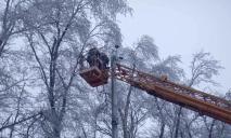 Зимний коллапс: на Днепропетровщине частично обесточены более 250 населенных пунктов