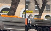На улицах Днепра заметили самосвал, прицеп которого «забит» мандаринами (ВИДЕО)