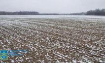 В Днепропетровской области 200 га земли передали в частные руки по поддельным документам