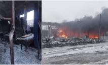 Медики показали зсередини маршрутку, яку знесло вибуховою хвилею у Новомосковську