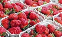 В супермаркетах Дніпра продають напівзелену полуницю за 549 грн (ФОТО)