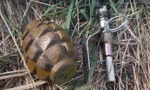 В Кривом Роге 6-летний ребенок нашел боевую гранату на детской площадке