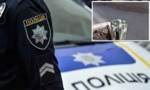 В Днепре в клумбе нашли хвостовик противотанковой гранаты: комментарий полиции