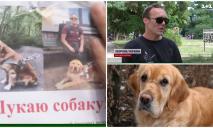 Житель Днепропетровщины спустя два года встретил сбежавшую в первый день войны собаку-поводыря.