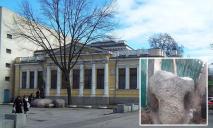 В музее Днепра поселится «обезбашенная» красотка: о чем речь (ФОТО)
