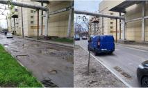 Жителі Дніпра стикнулися з несподіваними проблемами після того, як їм відремонтували дорогу: у чому річ