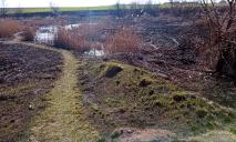 На Дніпропетровщині через паліїв сухостою згоріла ціла балка між селами (ФОТО)