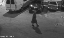 В Днепре на Тополе-3 неизвестная женщина по третьему кругу ворует дворовые кусты