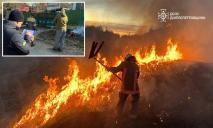 20 жителей Днепропетровщины привлекли к ответственности за сжигание сухостоя: сумма штрафа