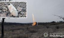 На окраине Кривого Рога обнаружили боевую часть ракеты: взрывотехники показали ее обезвреживание (ВИДЕО)