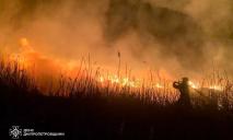 В АНД районі Дніпра чоловік підпалив очерет та спровокував масштабну пожежу