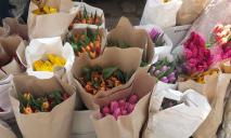 Более 1000 грн за букет тюльпанов: за сколько в Днепре продают цветы на 8 марта
