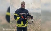 На Днепропетровщине из огненной ловушки спасли маленького ежика: не сжигайте сухостой