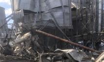 У Дніпропетровській області через ракетний удар знищено елеватор українського агрогіганта