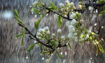 Погода на 20 квітня: у Дніпрі хмарно, можливий дощ