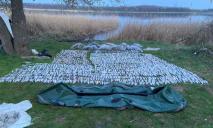 На Дніпропетровщині у перші дні нерестової заборони порушники наловили риби майже на 3 млн грн збитків