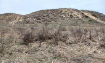 Неизвестные повредили уникальный объект в заповеднике вблизи Днепра: что известно