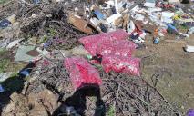 У Дніпрі на стихійний смітник викинули п’ять великих мішків свіжої редиски
