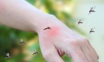 11-сантиметровий гельмінт під шкірою: на Дніпропетровщині жінка захворіла після укусу комара