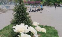 В Днепре «выросли» гигантские хризантемы (ФОТО)