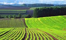 З травня аграрії Дніпропетровщини зможуть отримати субсидію на землю