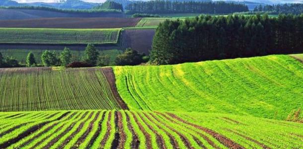 С мая аграрии Днепропетровщины смогут получить субсидию на землю
