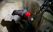 На Днепропетровщине песик упал в бетонный резервуар
