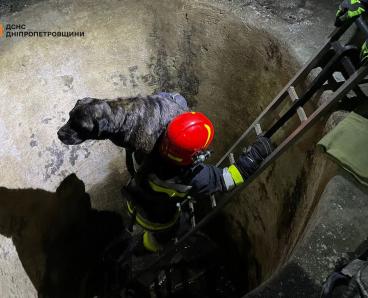 На Днепропетровщине песик упал в бетонный резервуар