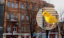 На території Дніпра у позаминулому столітті існували пташині “заводи”, де вчили канарок