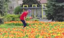 Мужчину, рвавшего тюльпаны на Сичеславской Набережной, догнала карма