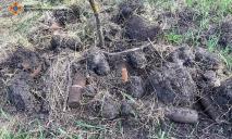 На Днепропетровщине мужчина нашел в поле артиллерийские снаряды