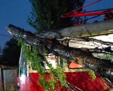 Під час сильної негоди дерева попадали на трамвайні вагони: у Дніпрі долають наслідки буревію