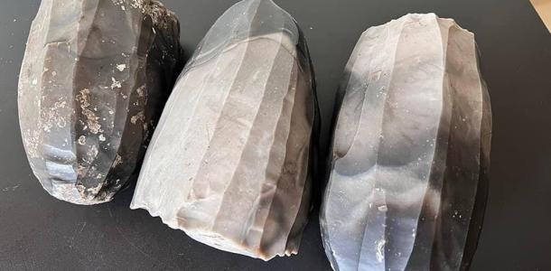 Жители Кривого Рога собирались незаконно послать в США артефакты, которым 8 тысяч лет