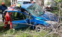 Моторошна ДТП у Кривому Розі: рятувальники деблокували водійку з понівеченого автомобіля