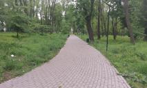 Перейменування парку Гагаріна у Дніпрі: стало відомо який варіант переміг в опитуванні
