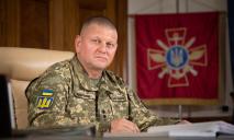 Президент України звільнив Залужного з військової служби