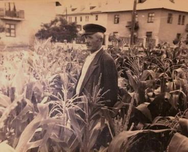 У центрі Дніпра колись росло поле кукурудзи: оприлюднили архівні фото