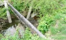 Неизвестная пена в озере Курячем: экологи Днепра обнародовали окончательные результаты проверки