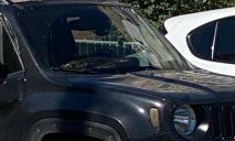 В центре Днепра в машине заметили огромного питона: греется под лобовым стеклом (ФОТО)