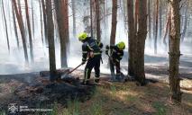 В Днепровском районе горел лес
