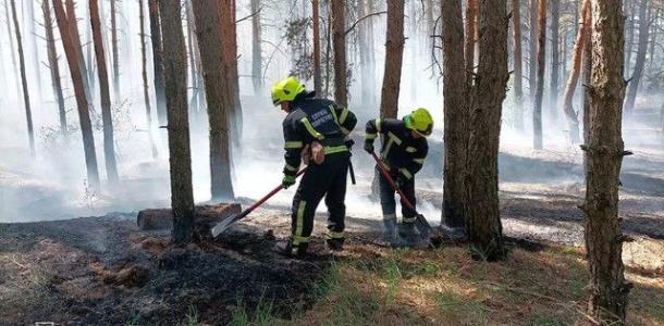 В Днепровском районе горел лес