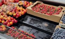 В Днепре вдвое упали цены на популярную ягоду: сколько стоит ранняя украинская клубника