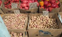 У Дніпрі вже продають молоду картоплю: які ціни